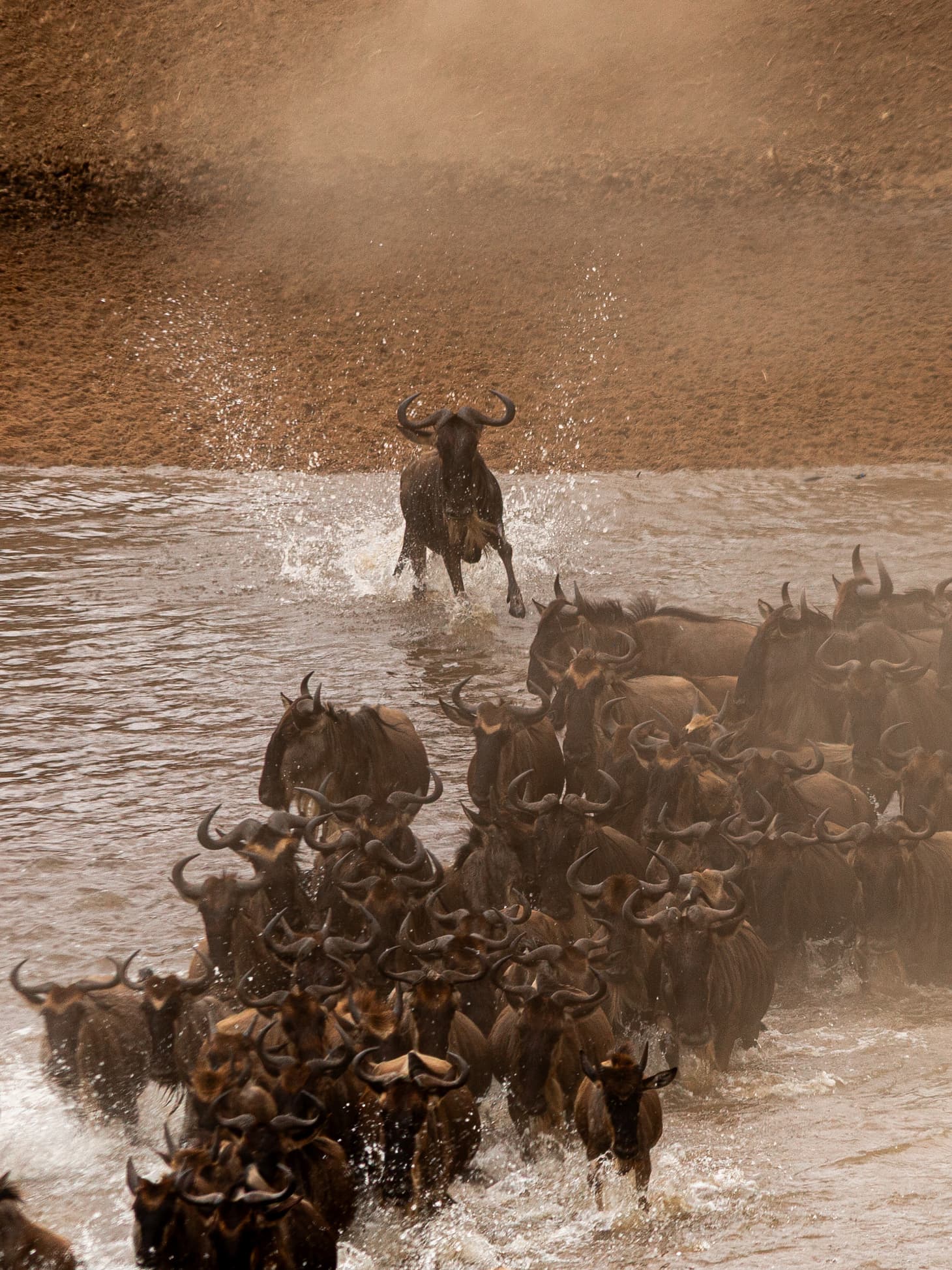 6-Day :Luxury Wildebeest Migration & Mara River Crossing Safari