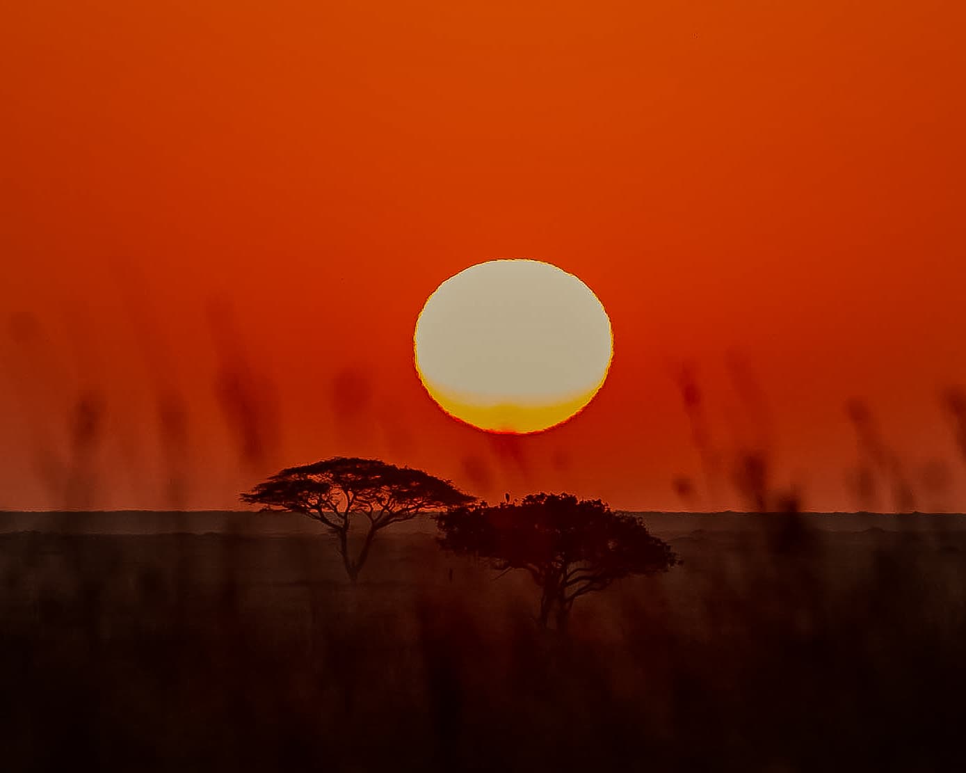 Tented Camp or Lodge? Choosing Your Safari Accommodation