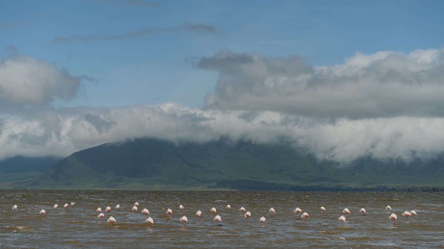 Ngorongoro Crater