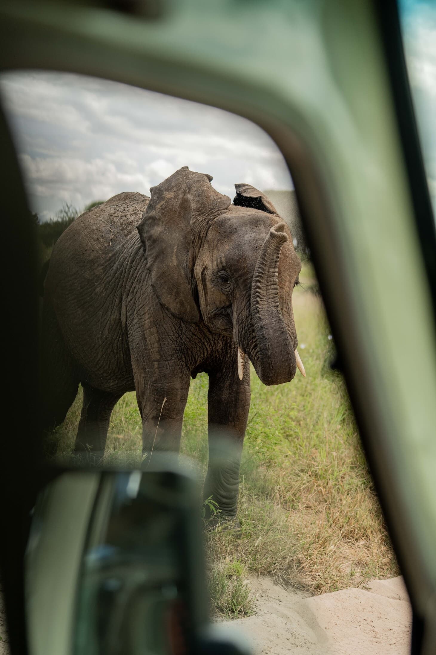 Tarangire National Park