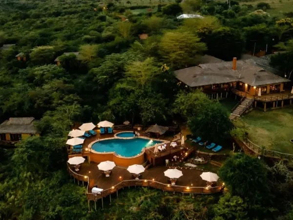 2 Days Luxury From Zanzibar to Tarangire and Ngorongoro
