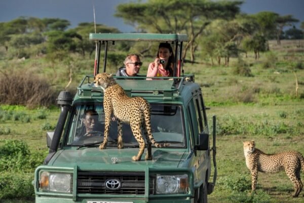 Private Package from Zanzibar to Selous National Park